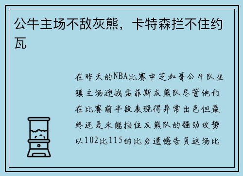 公牛主场不敌灰熊，卡特森拦不住约瓦